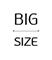 BigSize