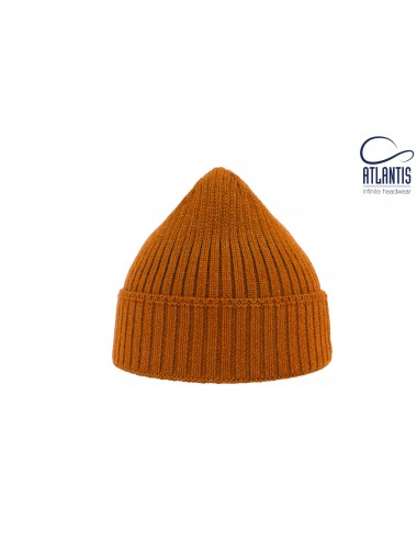 Atlantis Viral beanie