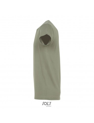 Sol's Regent - 11380