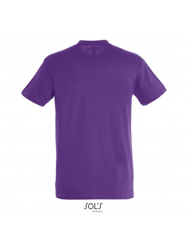Sol's Regent - 11380